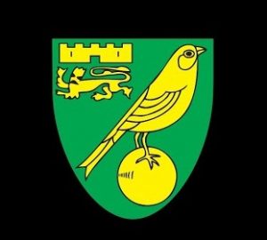 NORIČ MORAO DA ODREŠI KESU: Reprezentativac tzv. Kosova stigao za neverovatnu sumu, kao najskuplje pojačanje u istoriji!