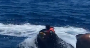 NAČINIO OZBILJAN PREKRŠAJ: Policija pokrenula istragu protiv desetogodišnjeg sina Kristijana Ronalda!