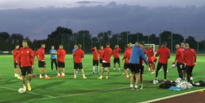 PRED ODLAZAK U OSLO: Lepe reči Tadića i Mitrovića o FSS!