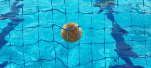 DOBAR ŽREB ZA CRVENO-BELE: Zvezda iz Zagreba kreče u Borbu za Ligu šampiona