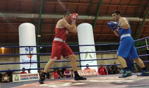 SAVIĆ I RADOJIČIĆ UZ SRPSKE BOKSERE: Zvezda slavila nakon preokreta!