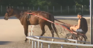 JOKIĆ UŽIVA DOK SE SRBIJA NERVIRA: Nikola Jokić zajahao konja čim je stigao u Sombor! (VIDEO)