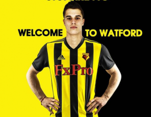 SPREMA SE TRANSFER BOMBA U HUMSKOJ: Partizan želi fudbalera Votforda!