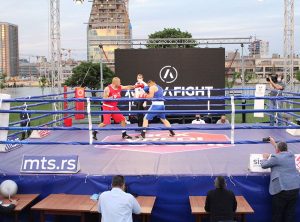 VELIKA BORBA SE SPREMA: Crvena zvezda i Vitezovi – ‘oči u oči’!