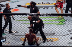 ‘DOBRO IZGLEDAŠ, KUČKO MALA’: Mekgregor izgubio živce pa žestoko isprozivao Dastinovu ženu, ova mu nije ostala ‘dužna’! (FOTO)