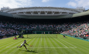 SKANDAL NA VIMBLDONU: Obezbeđenje uklanjalo srpske zastave!