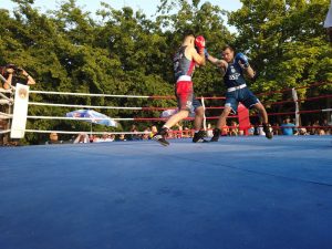 ZAHVALJUJUĆI FINANSIJSKOJ INJEKCIJI, CRVENO-BELI SU USTALI IZ DUBOKOG SNA: Zvezda ili Sombor, ko će biti šampion Srbije?