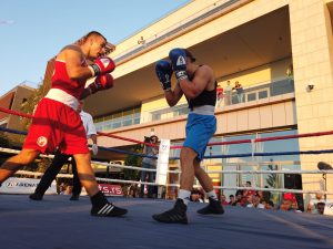 BOKS SPEKTAKL U REGIONALNOJ LIGI: Zvezdin bal na vodi, kraj Save pao bratski klub Radnik! (FOTO)