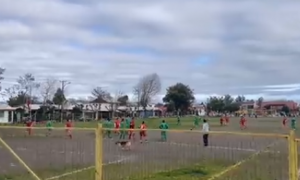 PAS POSTIGAO SPEKTAKULARAN POGODAK U ČILEU: Golman nije imao šanse, sudija napravio grešku! (VIDEO)