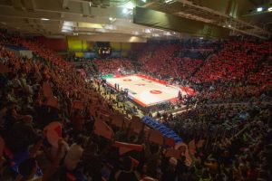 VELIKA ŠTETA: Ništa od spektakla Zvezde i Fenerbahčea, korona ponovo upropastila sve!