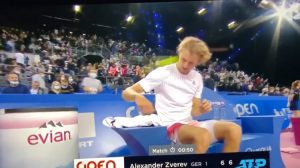 BIZARNA SITUACIJA: Zvereva pogodili lopticom u glavu na meču (VIDEO)