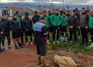 PA OVO NEMA NIGDE: Potpuno ludilo u Turskoj – fudbaleri zaklali ovna na treningu verujući da se tako vratiti na pobednički kolosek! (FOTO)