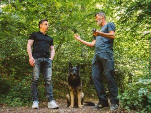 GERI NEVIL O BUDUĆNOSTI TEN HAGA: Trebaće mu vremena, ispred njega je ogroman posao!