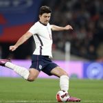 SKANDAL: Hari Megvajer osuđen na 15 meseci!