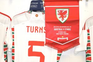 VELS MENJA IME NAKON MUNDIJALA: Evo kako će se Zmajevi zvati ubuduće!