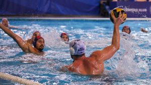 NOVI BEOGRAD UBEDLJIV: Crvena zvezda nije uspela da pruži otpor! (FOTO)