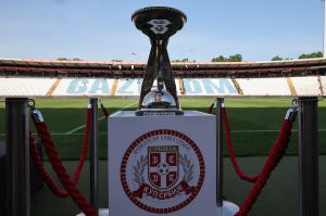 KUP SRBIJE: Vojvodina bila na ivici ispadanja – Radnik jedva sa drugoligašem!