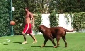 POSLE BAKE I MESIJEV PAS DOBIO PESMU: Argentinci urnebesnim snimkom iz Buenos Ajresa zapalili mreže! (VIDEO)