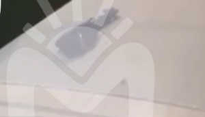 JEZIVO! ISPLIVAO SNIMAK UBISTVA SLAVNOG ŠAMPIONA: Rus mučki ubijen ispred svoje kuće! (VIDEO)