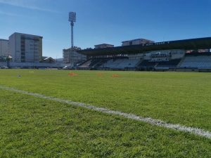 EKSPRESNA REAKCIJA: Pazarci već pronašli zamenu za Stankovića!