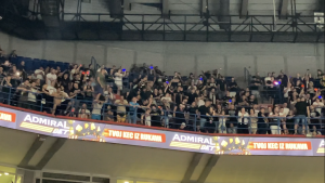 POLICIJSKA SVETLA NA TRIBINAMA ŠTARK ARENE: Grobari spremili poseban doček Filipu Petruševu! (VIDEO)