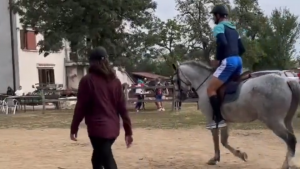 JAŠE NOLE KONJA BELOG NA KOSMAJU: Jokić našao ozbiljnu konkurenciju, a ni Ostoji neće biti lako! (FOTO) (VIDEO)