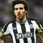 FENJERAŠI OTKINULI BODOVE: Njukasl i Vuvlsi remizirali!