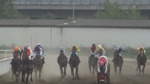 STRAVIČNE SCENE NA BEOGRADSKOM HIPODROMU: Džokej umalo stradao! (VIDEO)