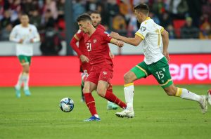 FSS IZDAO SAOPŠTENJE U VEZI ULAZNICA ZA EURO: ‘Vidimo se u Nemačkoj!’