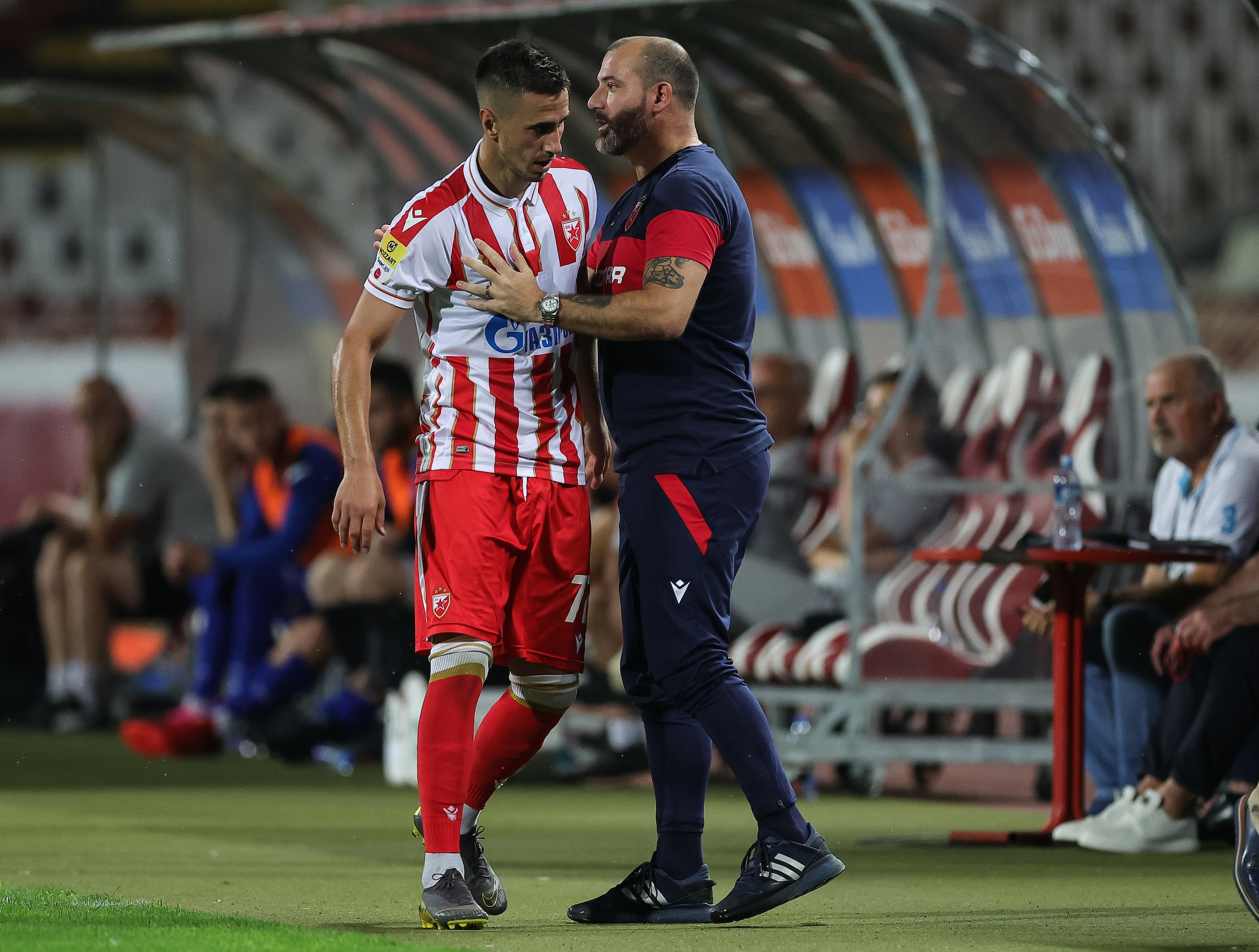 Crvena Zvezda v Radnik Surdulica Super League Season 2022/2023