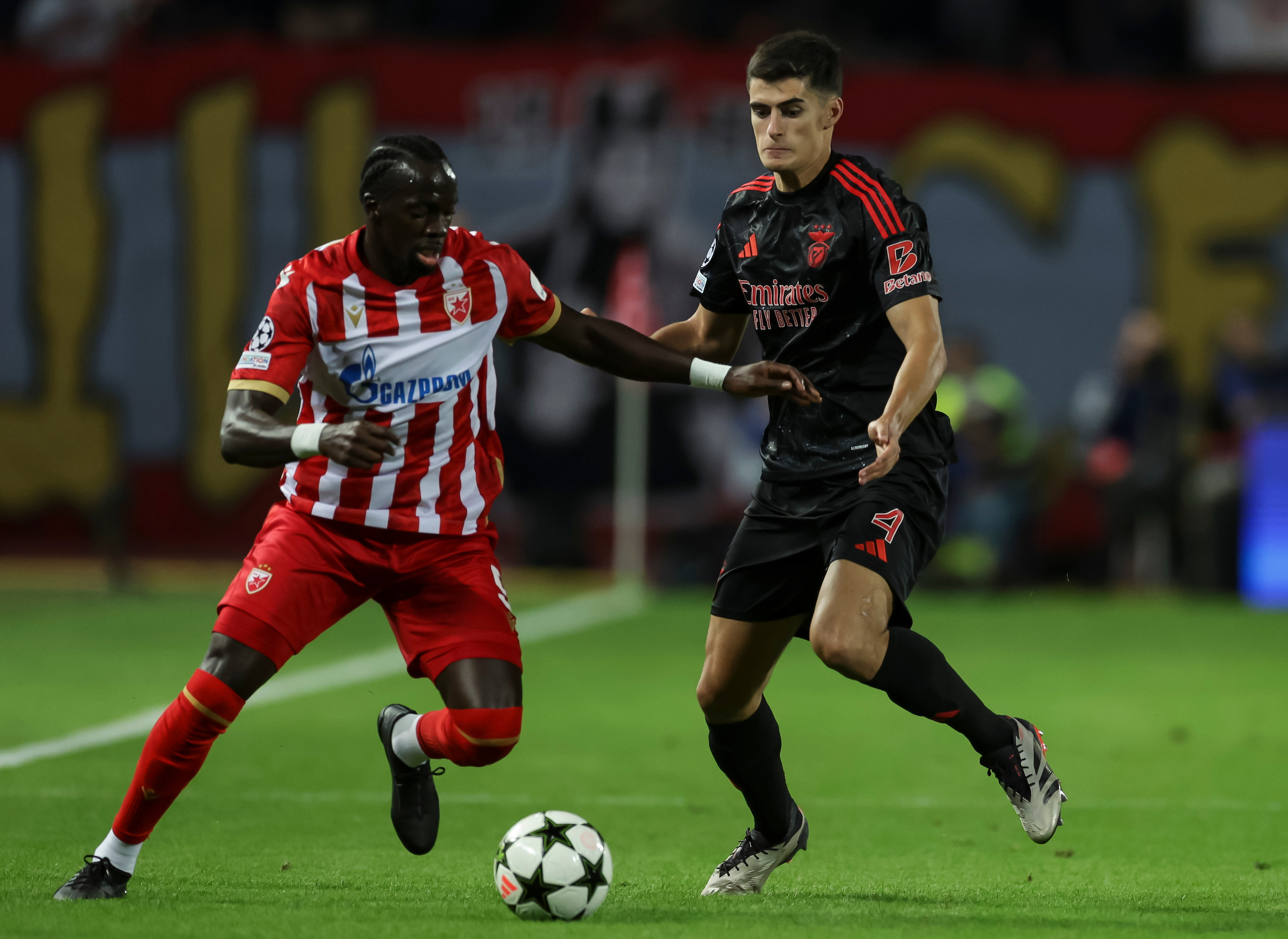 Crvena Zvezda v Benfika UEFA Champions League