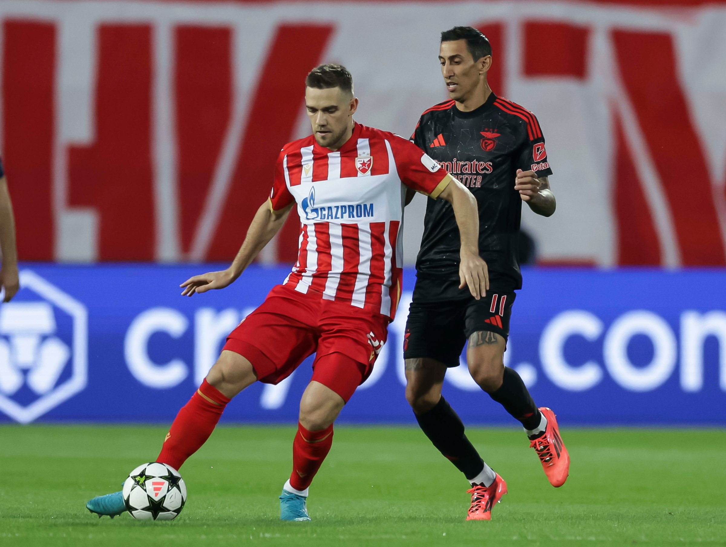 Crvena Zvezda v Benfika UEFA Champions League