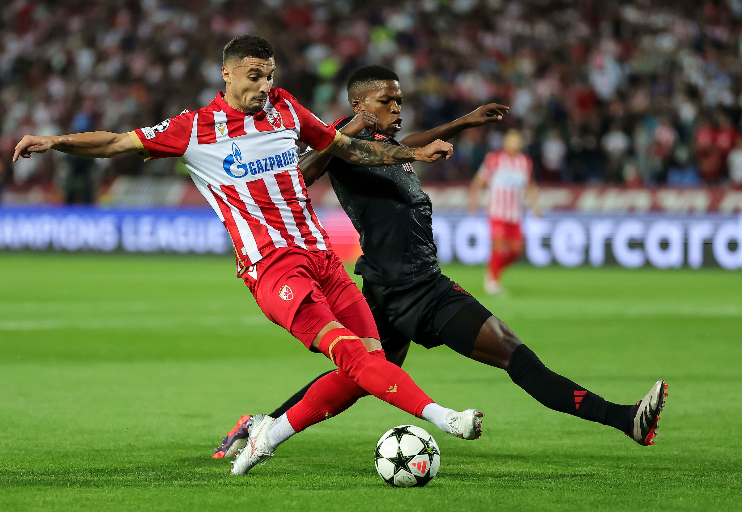 Crvena Zvezda v Benfika UEFA Champions League