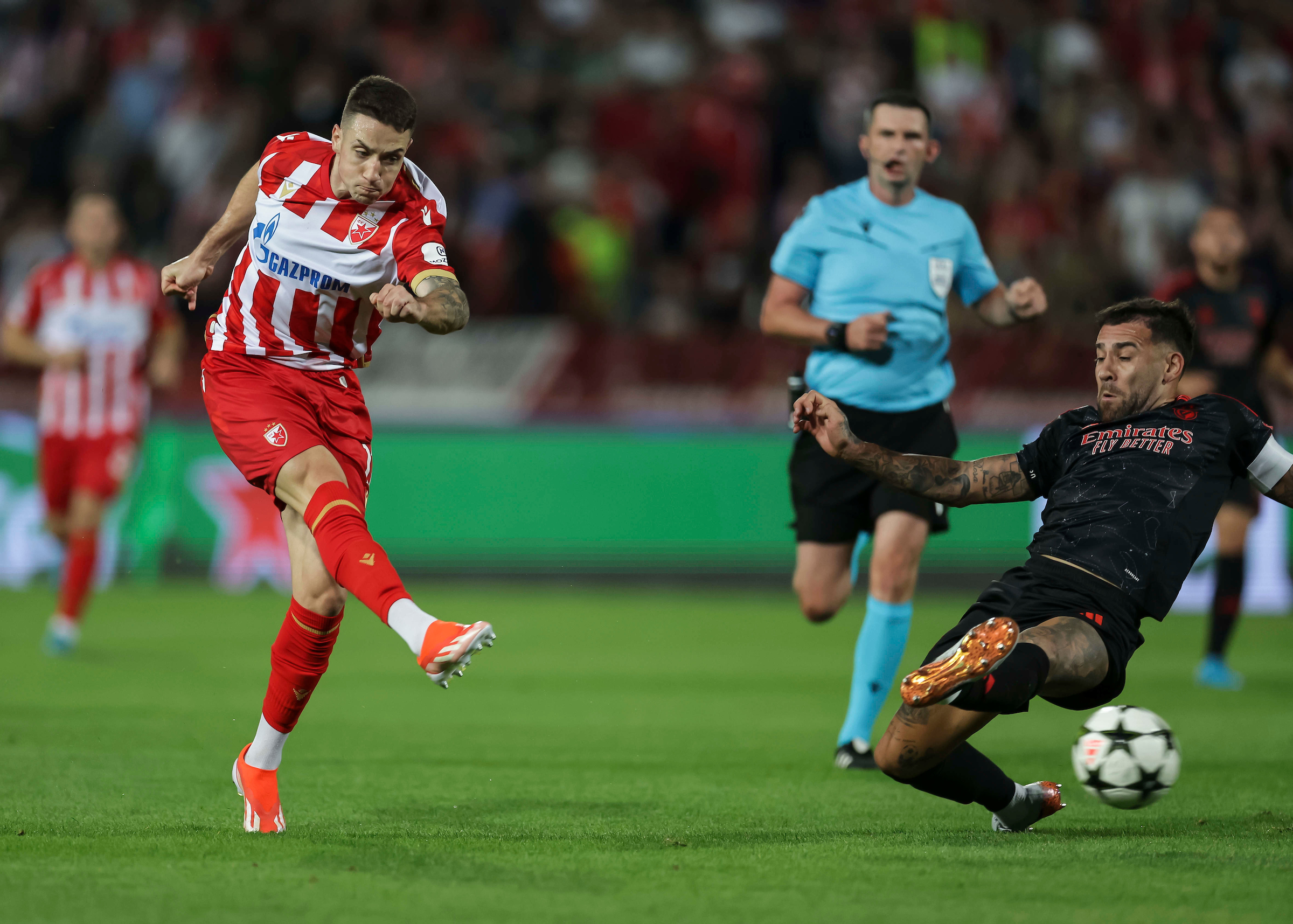 Crvena Zvezda v Benfika UEFA Champions League