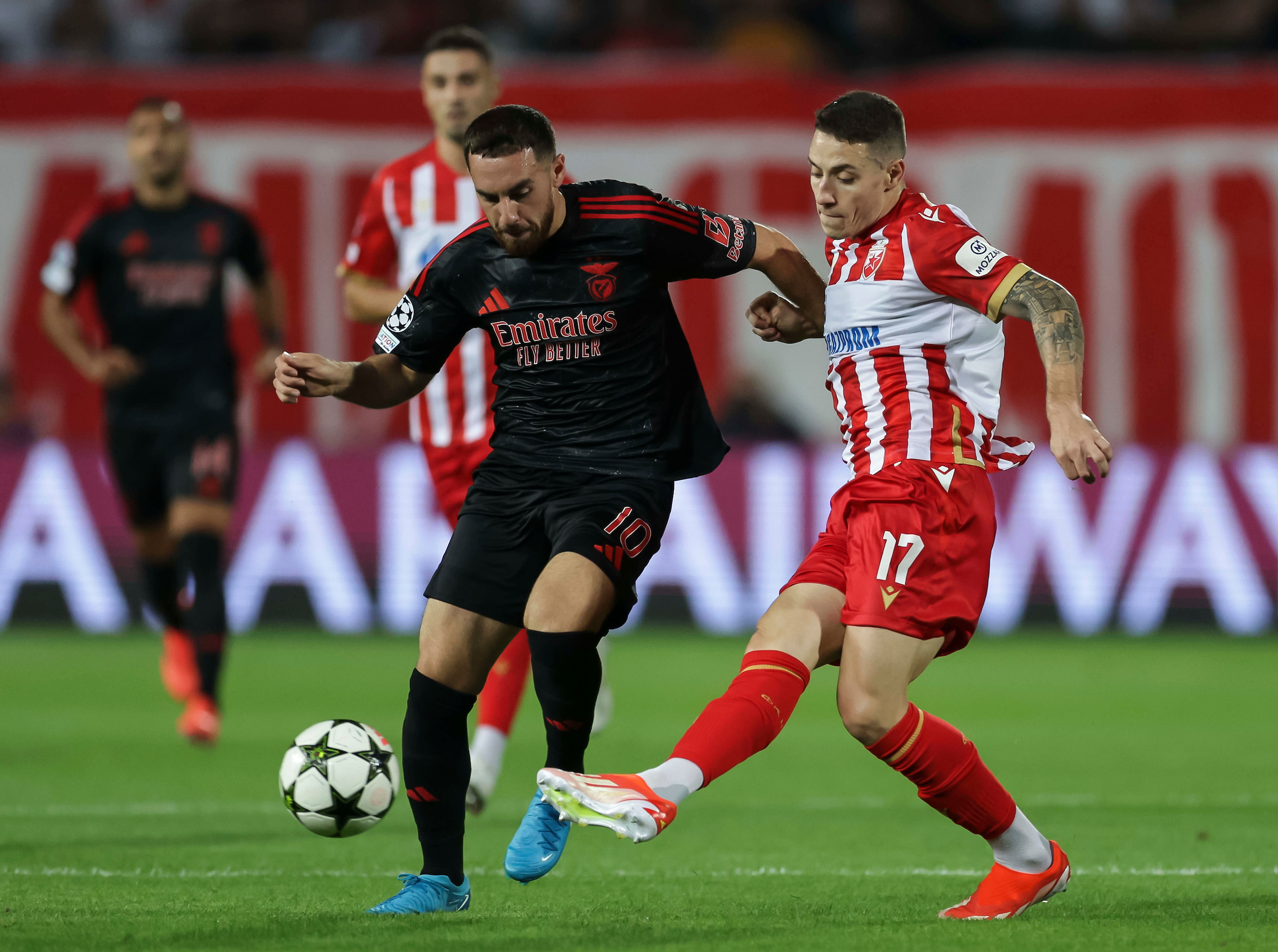 Crvena Zvezda v Benfika UEFA Champions League