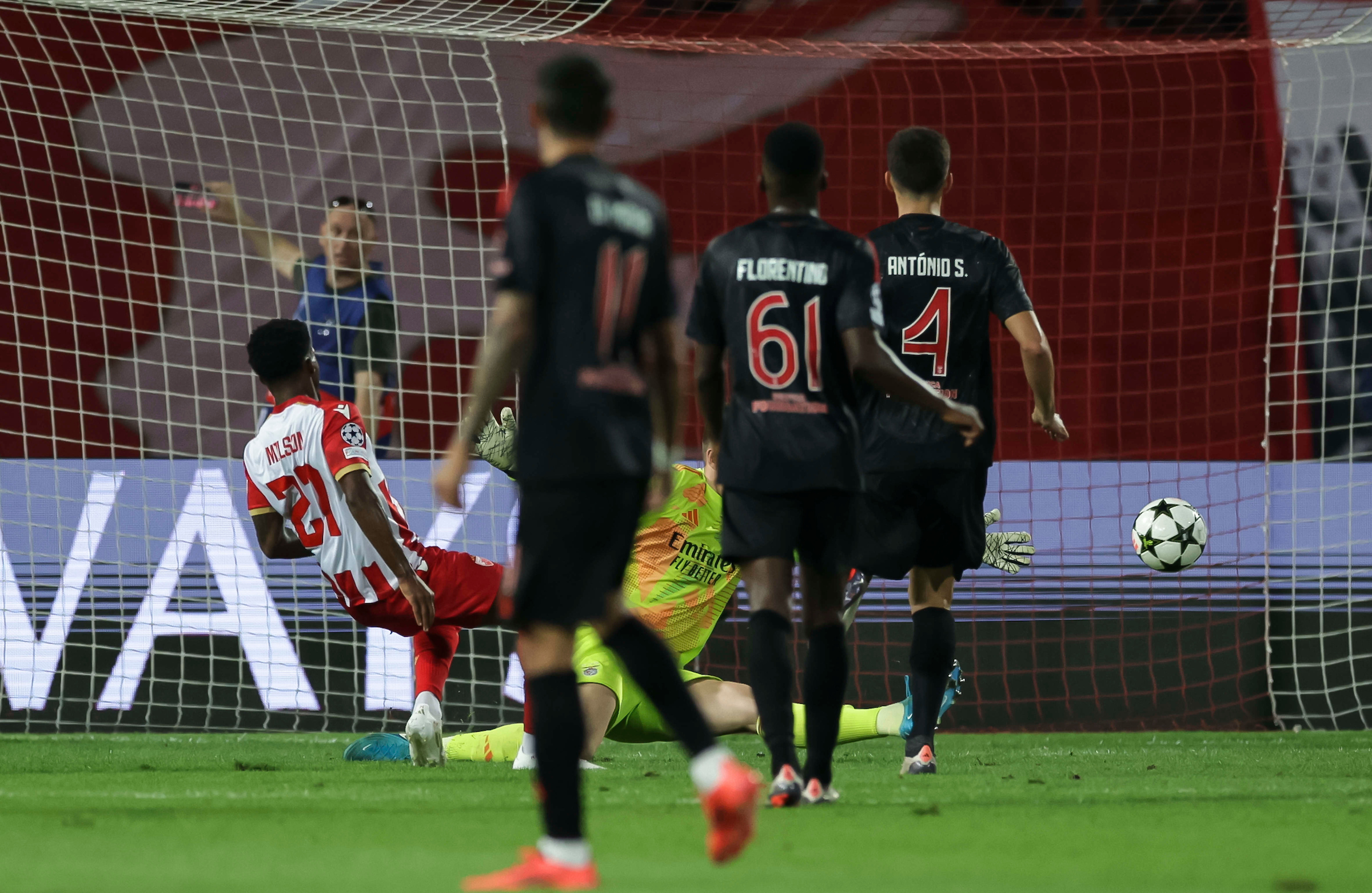 Crvena Zvezda v Benfika UEFA Champions League