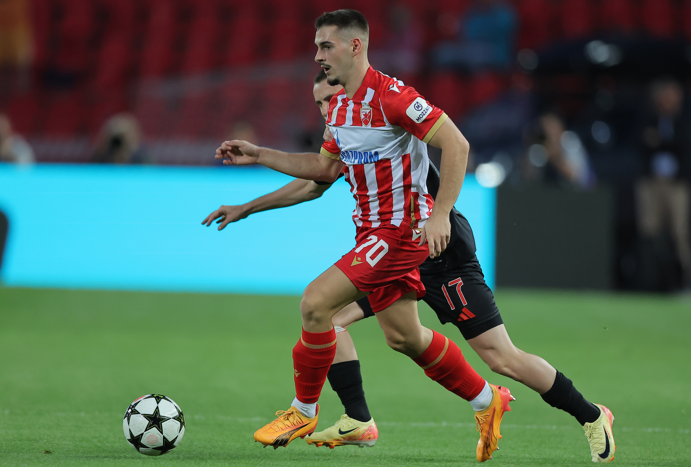 Crvena Zvezda vs Benfica, UEFA Champions League