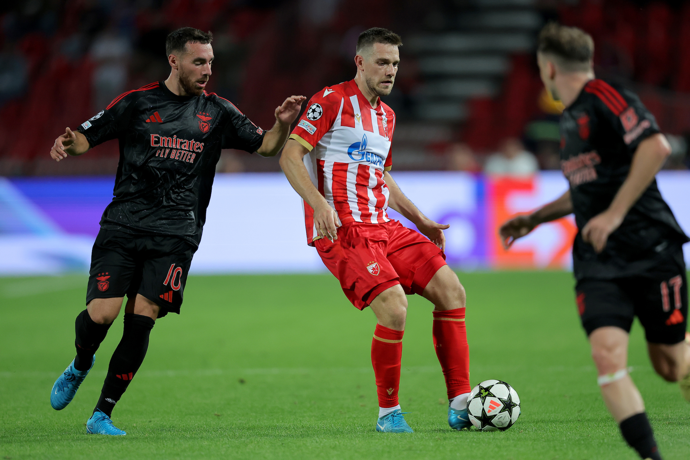 Crvena Zvezda vs Benfica, UEFA Champions League