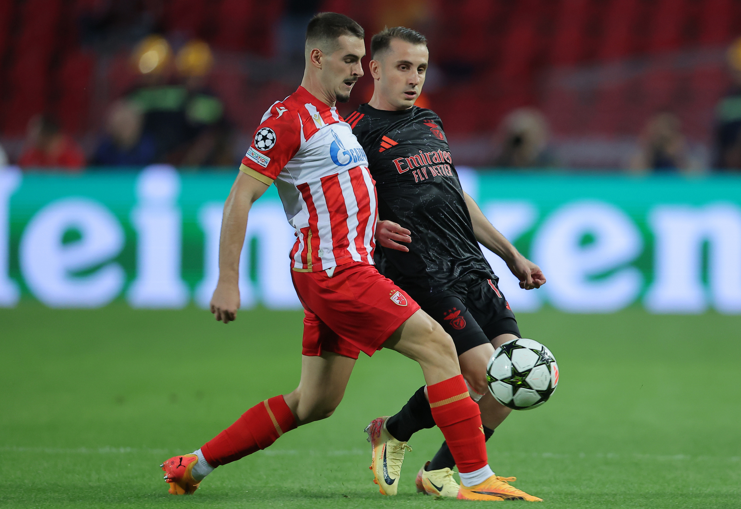 Crvena Zvezda vs Benfica, UEFA Champions League