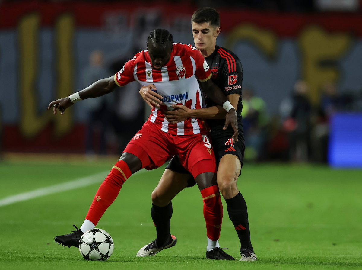 Crvena Zvezda v Benfika UEFA Champions League