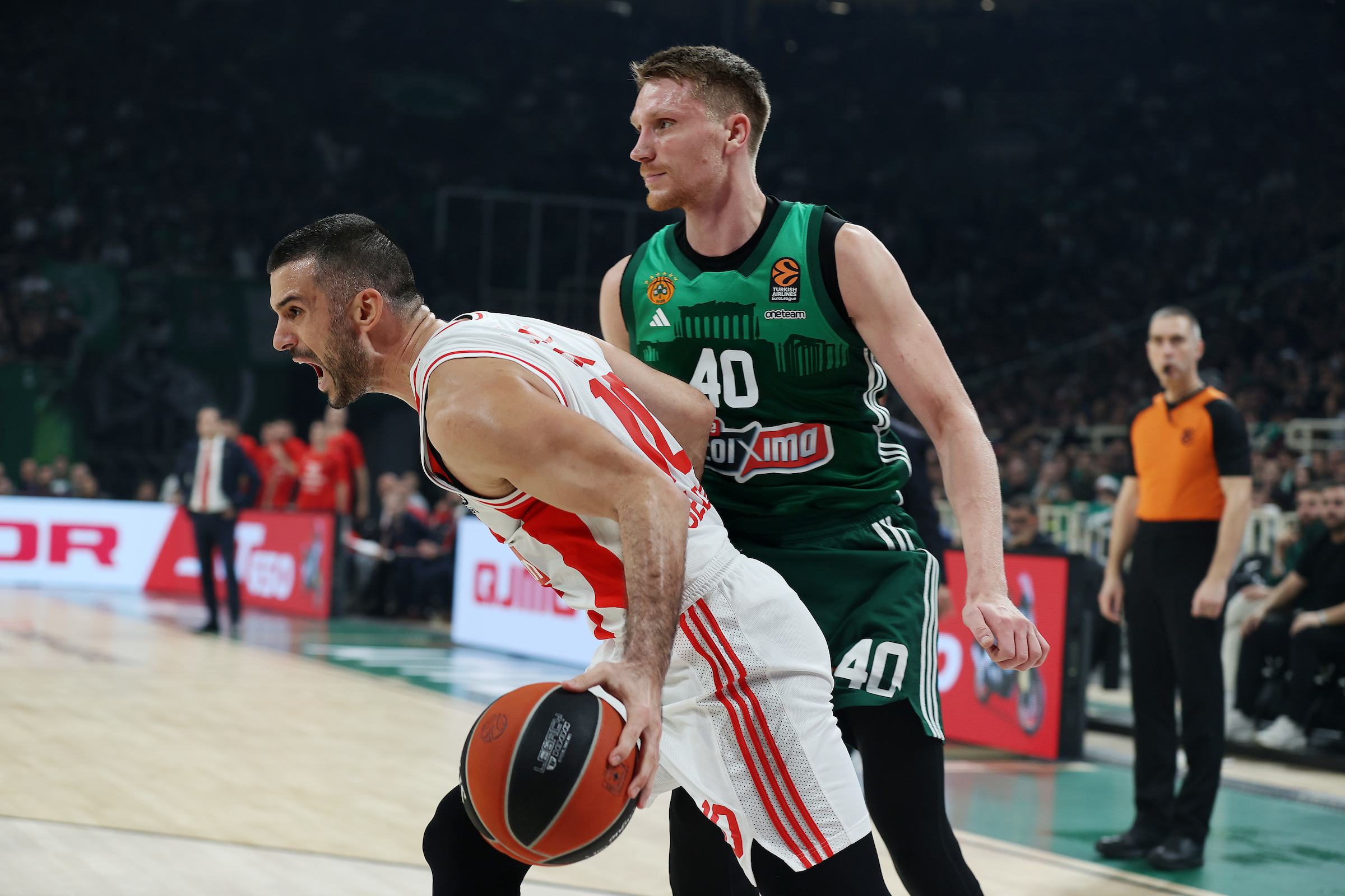 Panathinaikos Crvena Zvezda, Euroleague basketball match, regular season, round 17