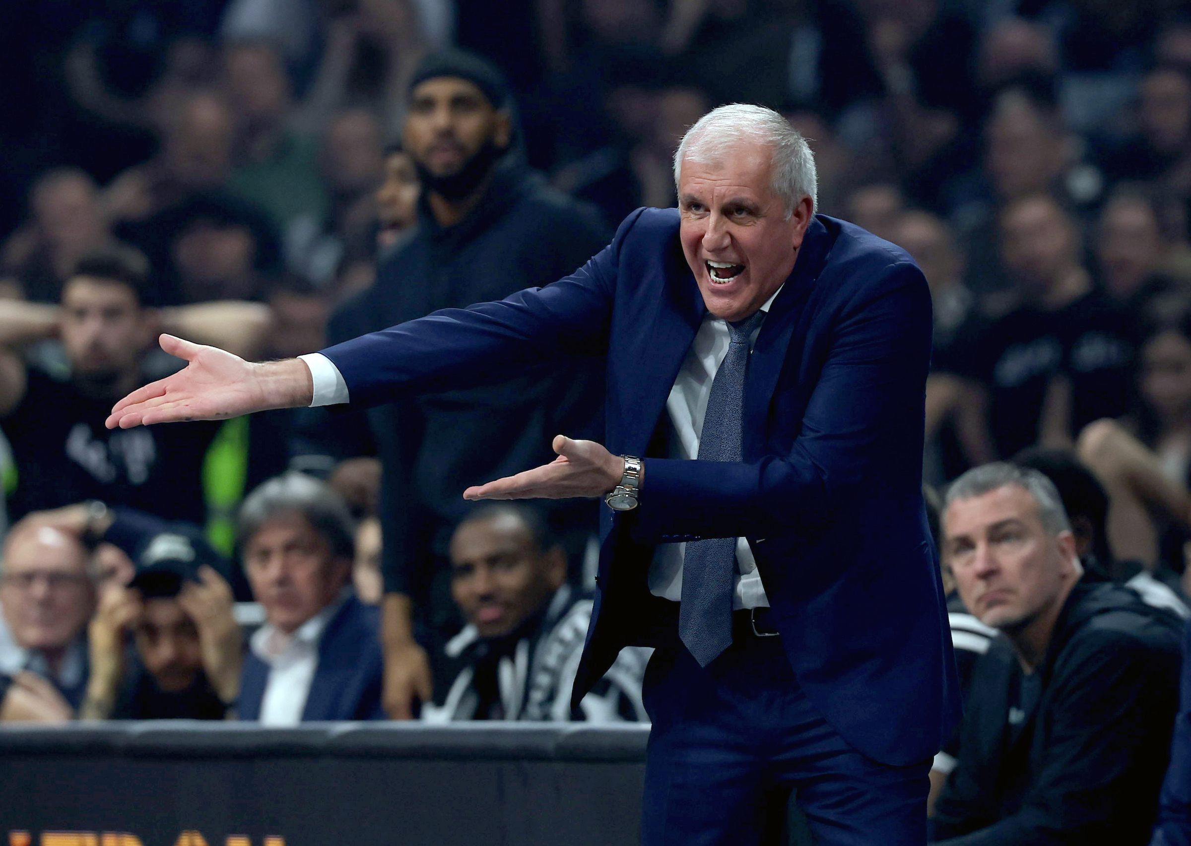 obradovic