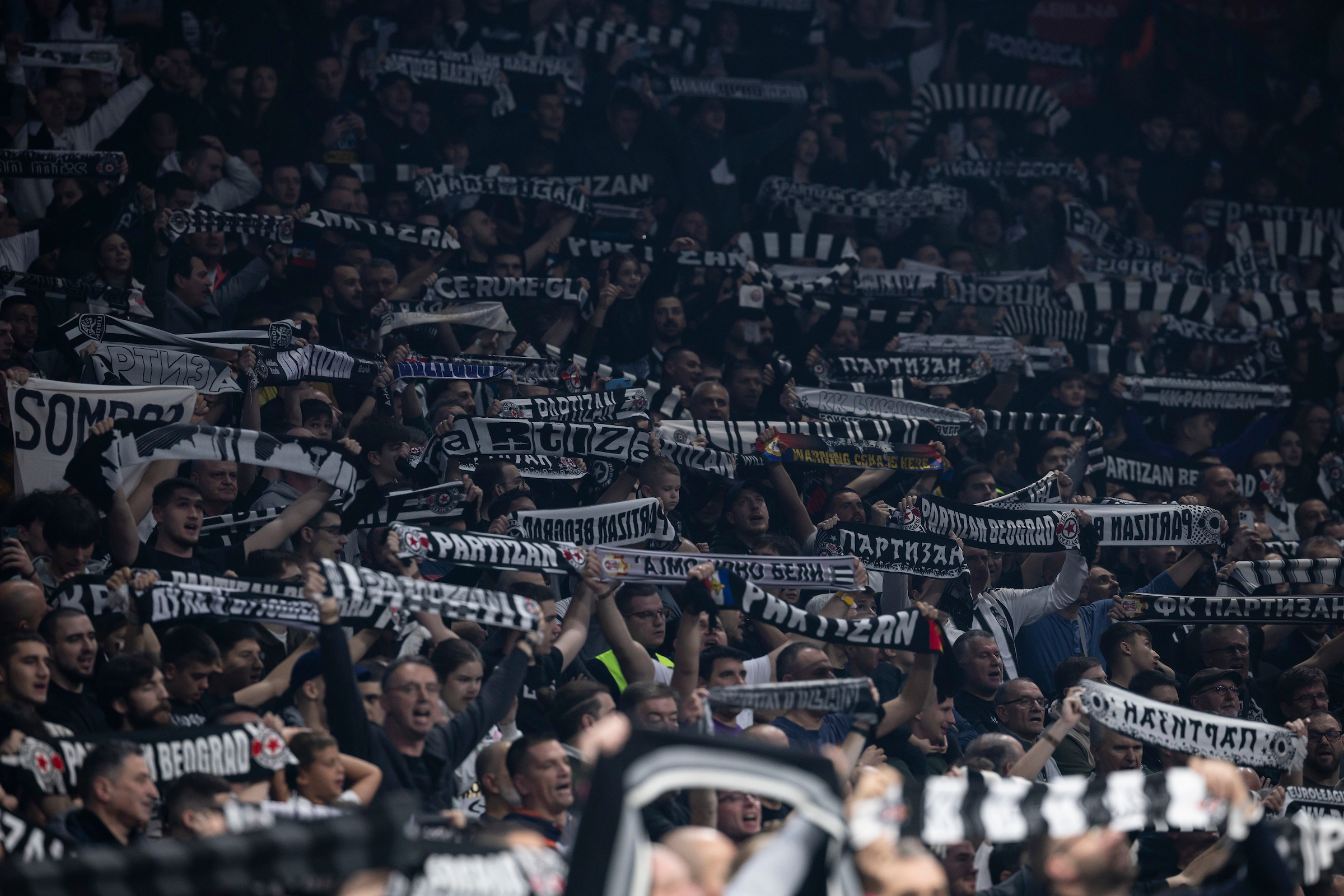 PARTIZAN PARIS 002