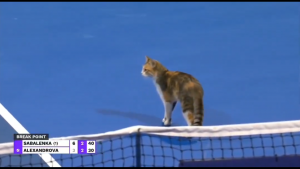 MAČKA IZBAKSUZIRALA NAJGOTIVNIJU TENISERKU SVETA: Beloruskinjina igra se raspala nakon ovog detalja! (VIDEO)