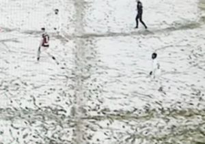 SNEG U POTPUNOSTI PREKRIO TEREN, A ONI IGRALI U BELIM DRESOVIMA: Neverovatna scena u komšiluku! (FOTO+VIDEO)