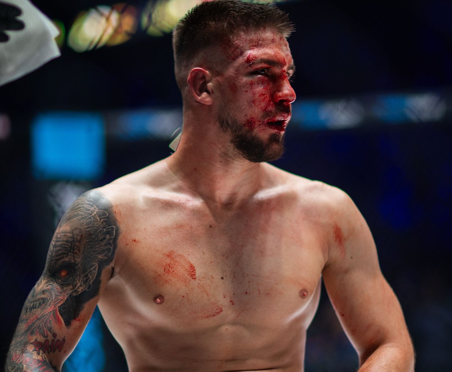 500292582 18094962946578532 3108826689519696060 n (1) 500292582 18094962946578532 3108826689519696060 n (1)