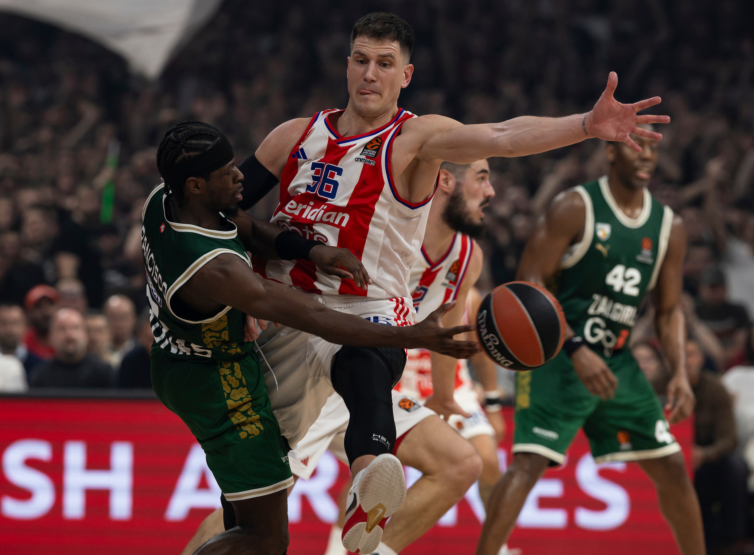 Crvena Zvezda Meridianbet Belgrade v Zalgiris Kaunas Turkish Airlines EuroLeague Crvena Zvezda Meridianbet Belgrade v Zalgiris Kaunas Turkish Airlines EuroLeague