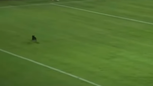 PAS KOMPLETNO PREKINUO MEČ CRNOGORSKE LIGE: Uljez i reakcija komentatora obilaze region!