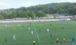 FSRIS SE OGLASIO: Službena lica sa utakmice Timoka i Bora suspendovana!