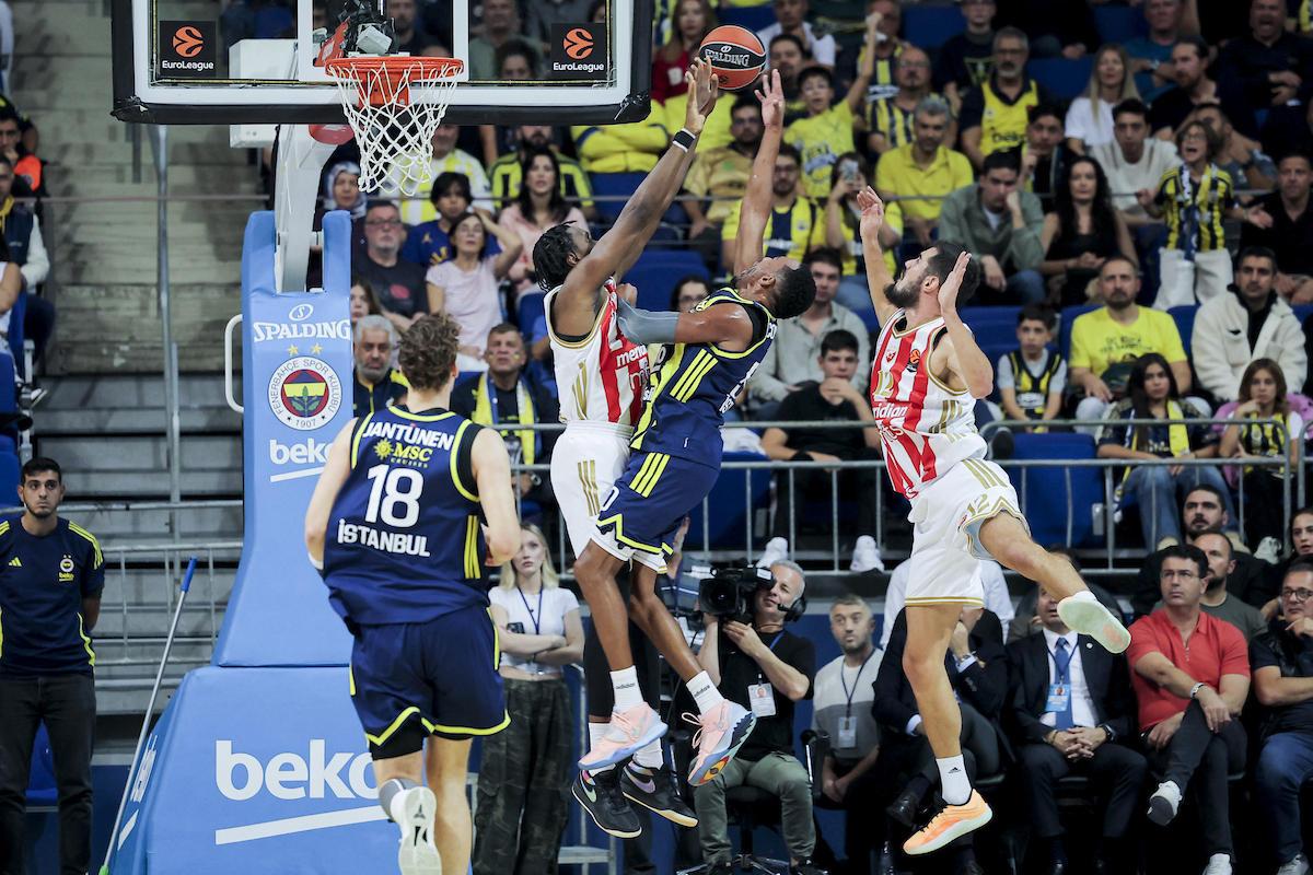 FENER ZVEZDA 23 FENER ZVEZDA 23